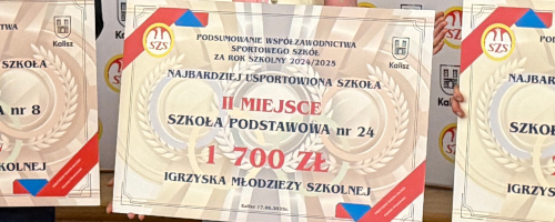 Uroczyste Podsumowanie Roku SportowegoFestyn na Polach Marsowych