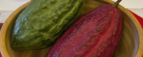 Warsztaty czekoladowe